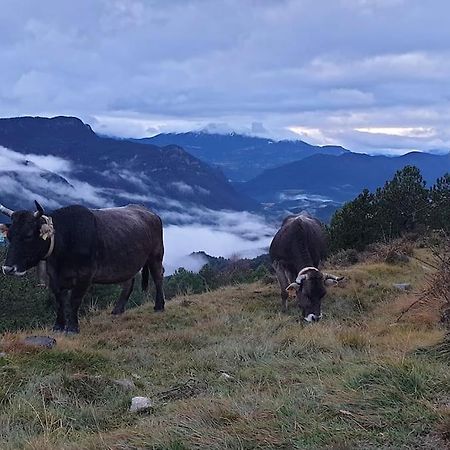 Precioso Apartamento En El Pirineo Catalan La Pobla de Lillet Bagian luar foto